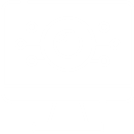 brio-logo
